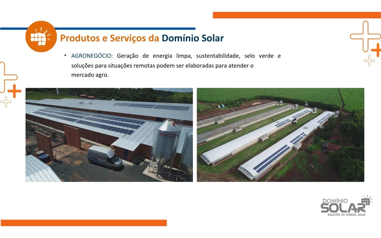 dominio11